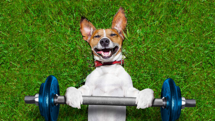 #FITNESS: We are NOT WORKING OUT! | 98.5 The Cat